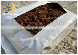Xơ dừa, mụn dừa - Xơ Dừa Coco Coir Global   - Công Ty TNHH Coco Coir Global